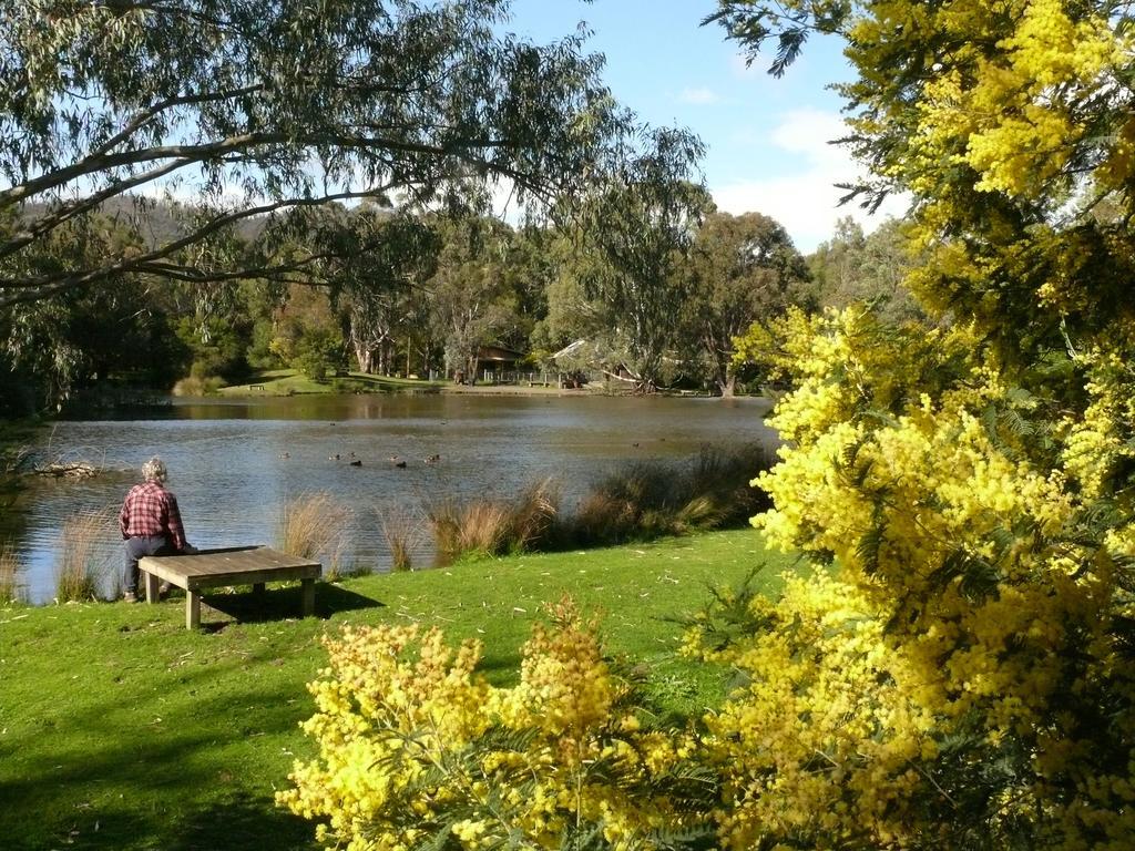 The Burrow At Wombat Bend Villa Dixons Creek Room photo