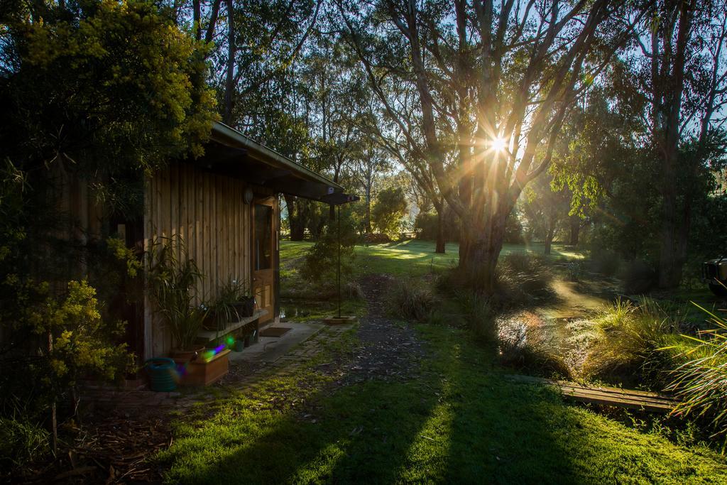 The Burrow At Wombat Bend Villa Dixons Creek Exterior photo