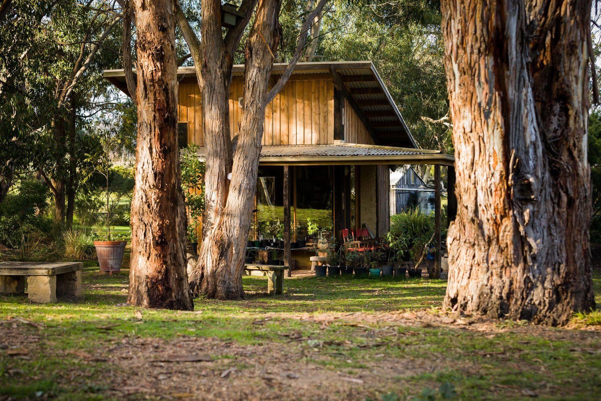 The Burrow At Wombat Bend Villa Dixons Creek Exterior photo