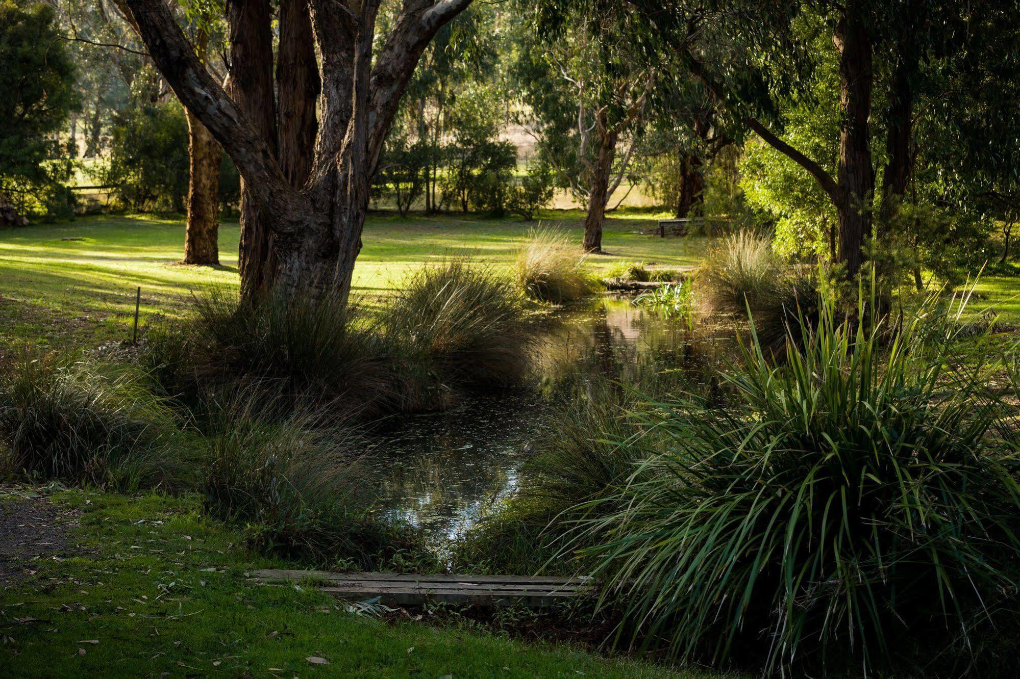 The Burrow At Wombat Bend Villa Dixons Creek Exterior photo