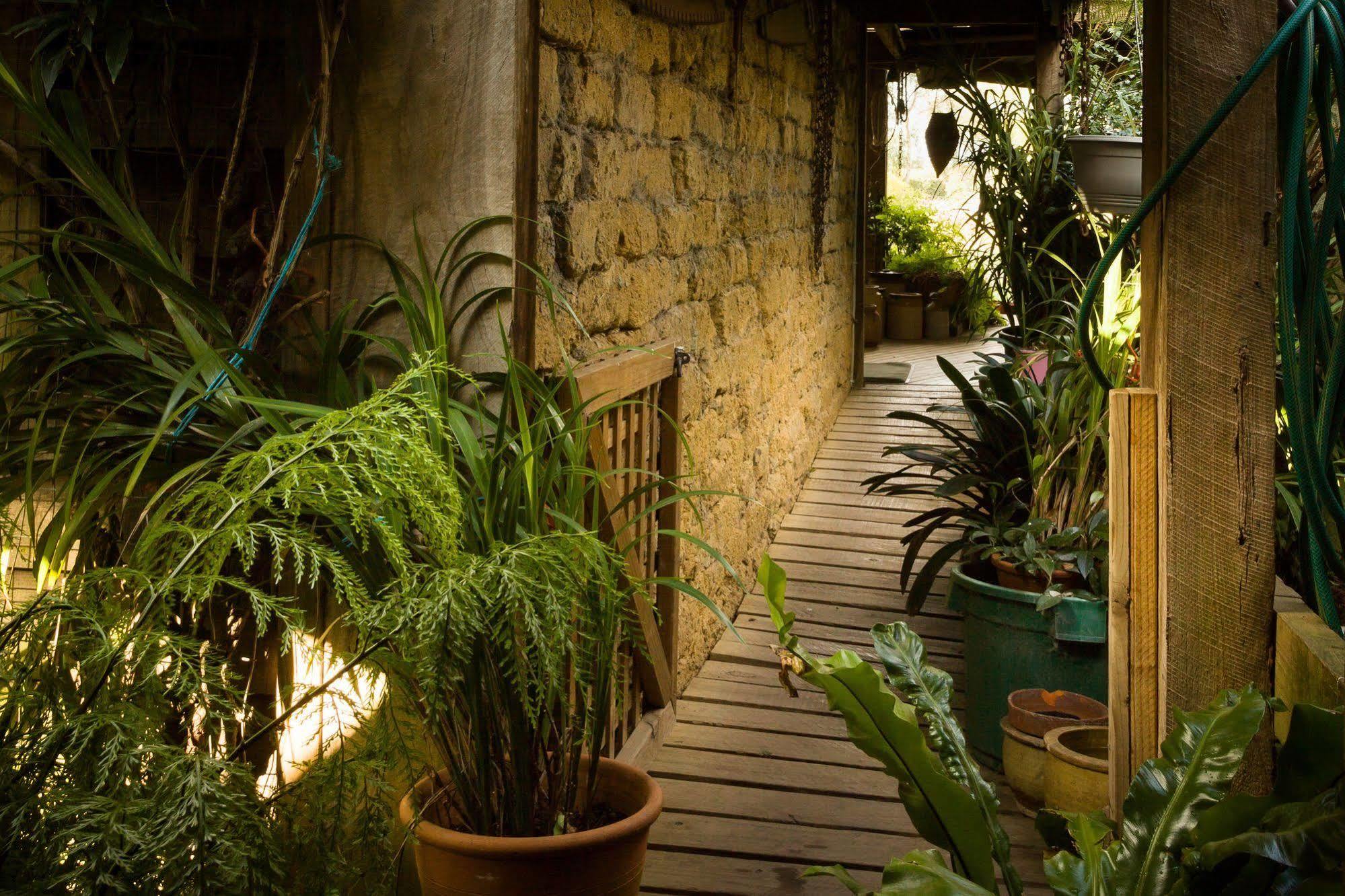 The Burrow At Wombat Bend Villa Dixons Creek Exterior photo