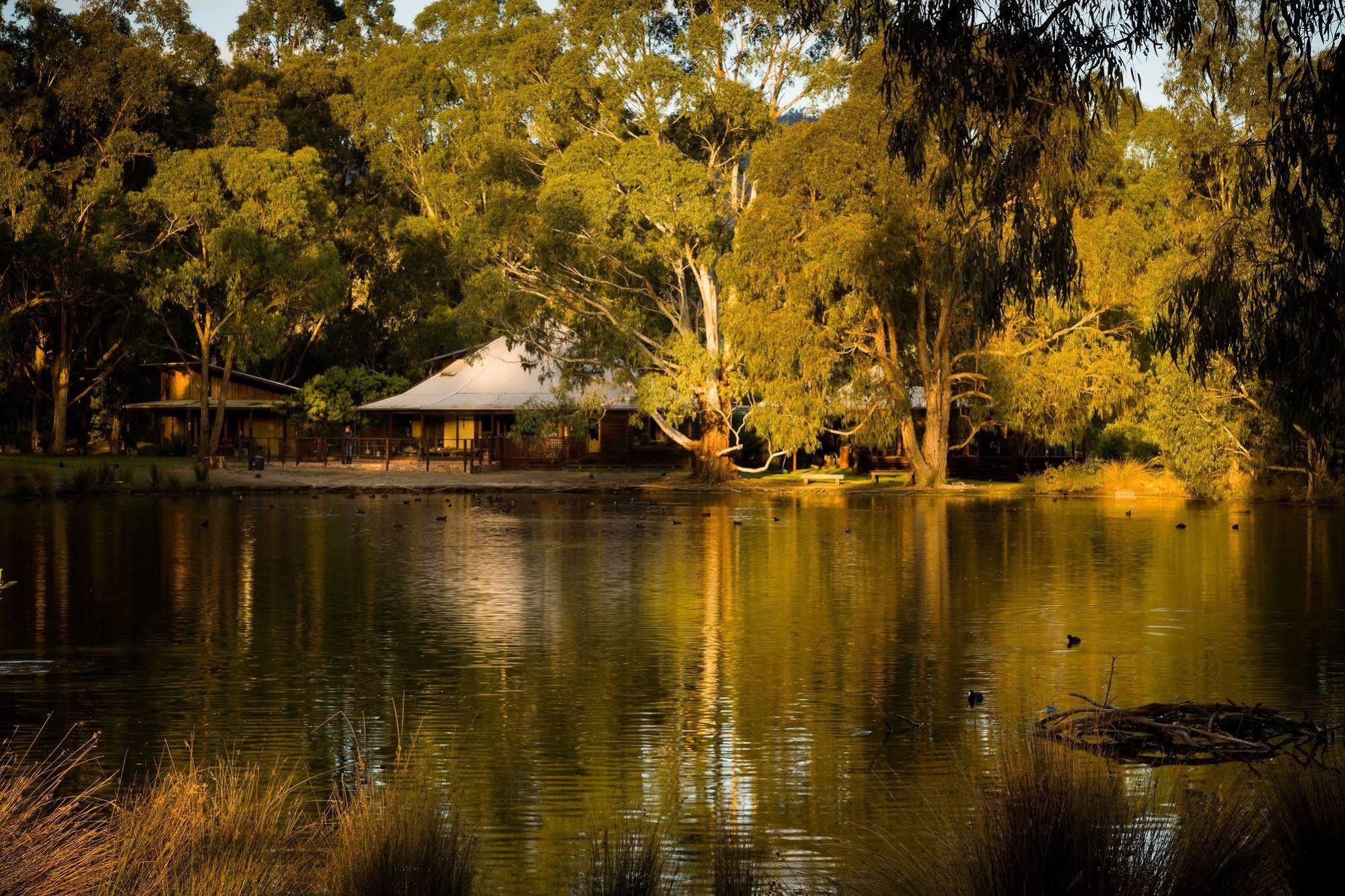 The Burrow At Wombat Bend Villa Dixons Creek Exterior photo